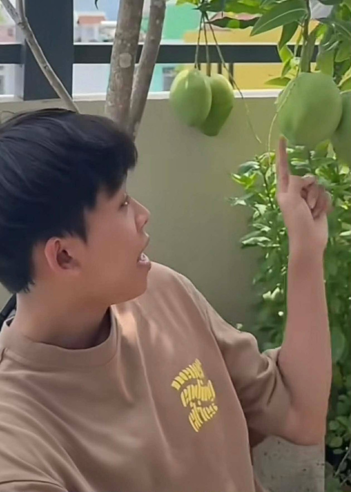 Hồ Văn Cường hé lộ khu vườn có nhiều cây xanh, cây ăn quả trong ngôi nhà của mình.