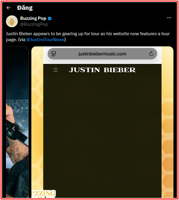 Hụt hẫng với Justin Bieber Ảnh 2
