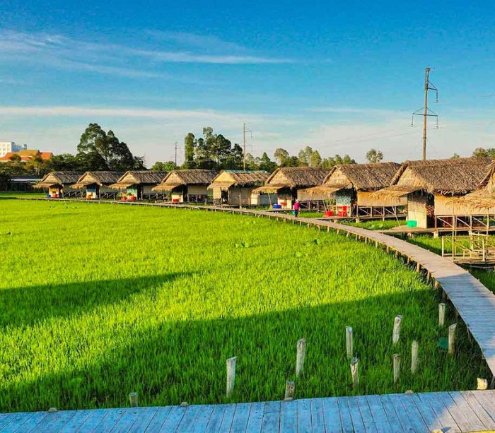 Những cung đường xanh nhất ở quê Hồ Văn Cường dành cho người thích đạp xe Ảnh 5