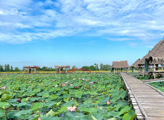 Những cung đường xanh nhất ở quê Hồ Văn Cường dành cho người thích đạp xe Ảnh 4