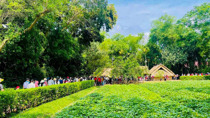 Cảnh đẹp làng quê ở Nghệ An.