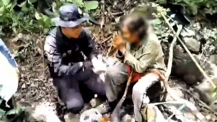 Bà cụ 73 tuổi mất tích khi đi hái nấm, 4 ngày sau được tìm thấy trong tình trạng khó tin Ảnh 1
