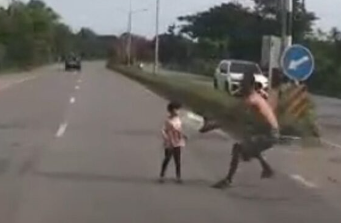 Đang lái xe, tài xế kinh hoàng phanh gấp khi thấy cảnh tượng giữa đường Ảnh 1