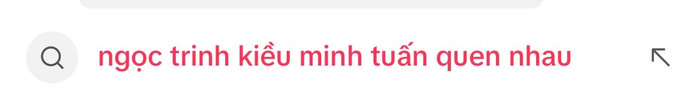 Từ khoá liên quan đến Ngọc Trinh và Kiều Minh Tuấn bất ngờ trở thành chủ đề tìm kiếm trên nền tảng TikTok trưa 8/6.