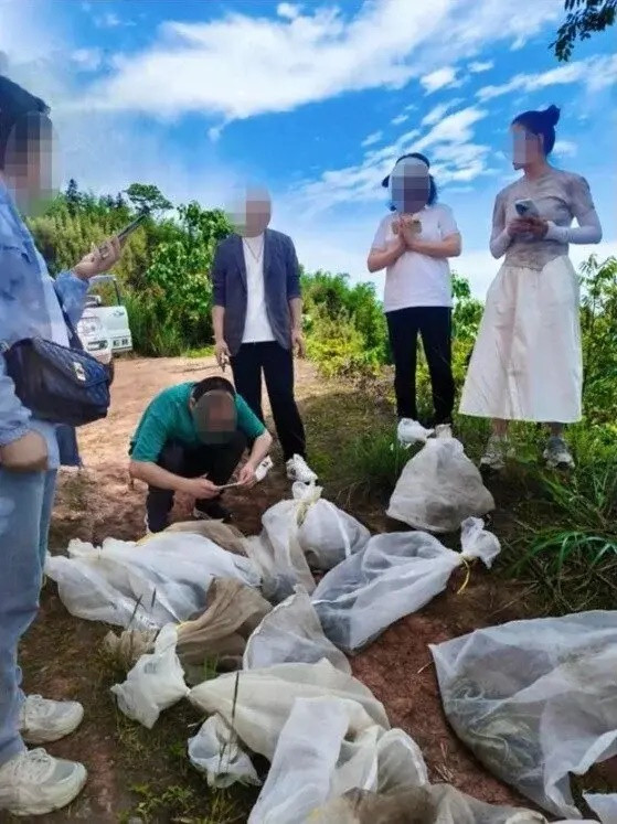 Người đàn ông thả 14 bao tải cột kín miệng lên núi để mừng sinh nhật, dân làng 'khiếp vía' khi biết thứ nằm bên trong Ảnh 2