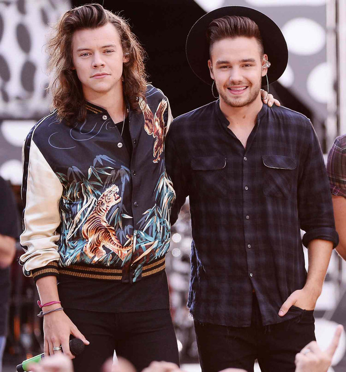 Harry Styles hát lại ca khúc gắn liền với Liam Payne, hàng chục ngàn khán giả xúc động Ảnh 2