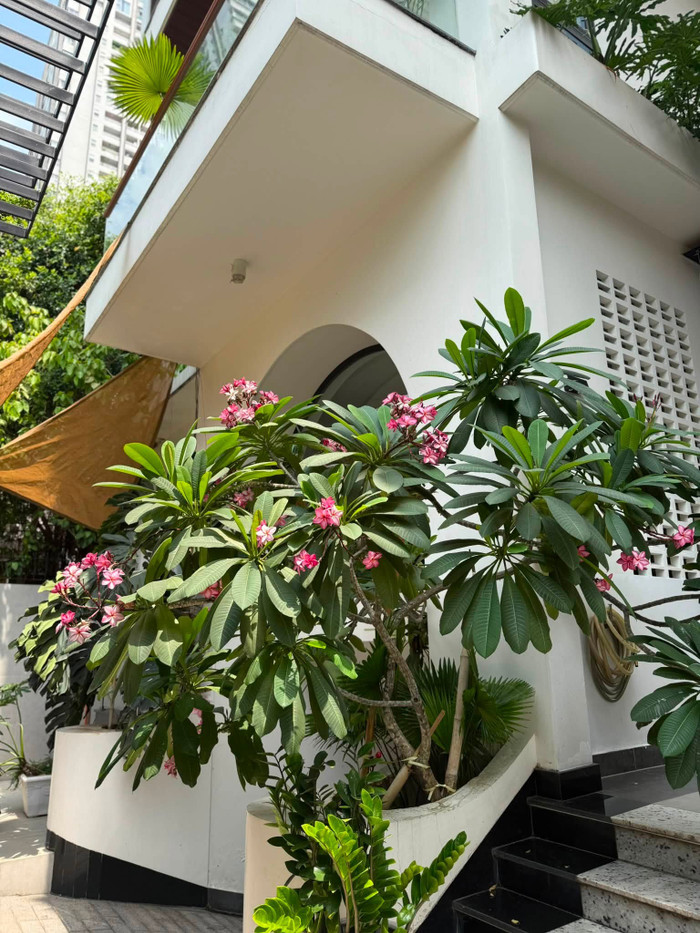 Biệt thự phố 1.000m2 được Vân Trang chăm sóc kỹ lưỡng, trồng nhiều cây xanh.&nbsp;