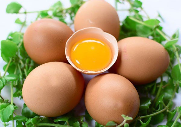 Ăn trứng mỗi ngày có tốt không? Ảnh 4