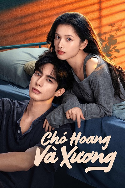 Chó Hoang Và Xương là phim ngôn tình đô thị pha yếu tố trưởng thành và điều tra phá án, dài 32 tập, do Lưu Tuấn Kiệt đạo diễn. Phim phát sóng từ đầu tháng 7/2026, đánh dấu màn kết hợp của Tống Uy Long trong vai Trần Dị và Trương Tịnh Nghi trong vai Miêu Tĩnh. Tác phẩm chuyển thể từ tiểu thuyết cùng tên của Hưu Đồ Thành, đặt câu chuyện vào thập niên 1990, khi Trần Dị và Miêu Tĩnh trở thành anh em danh nghĩa sau cuộc tái hôn của cha mẹ. Cùng mang những vết thương từ gia đình tan vỡ, họ nương tựa để trưởng thành rồi dần nảy sinh tình cảm. Một biến cố nguy hiểm khiến hai người thất lạc, trước khi tái ngộ nhiều năm sau trong bối cảnh một vụ án phạm pháp liên quan trực tiếp đến quá khứ.