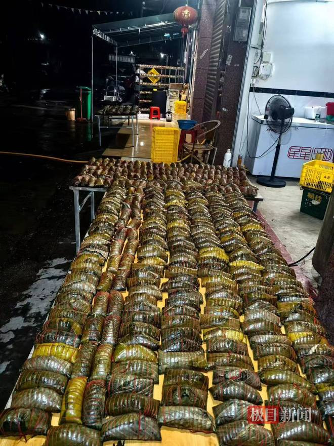Người phụ nữ thức xuyên đêm nấu hơn 2000 chiếc bánh ú gửi vùng lũ, nói một câu gây xúc động Ảnh 1
