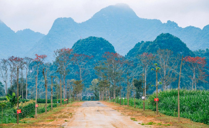 Đường quê xứ Nghệ. Ảnh: báo Lao Động