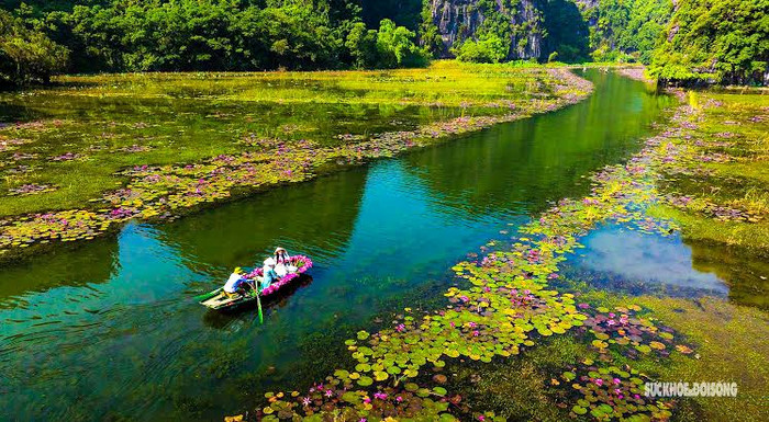 Cảnh sắc Ninh Bình mang lại cảm giác yên bình. Ảnh: Sức khoẻ & Đởi sống