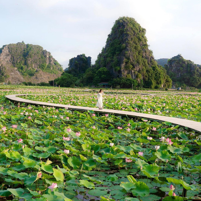 Đi tìm nhịp sống bình yên ở quê hương diễn viên Phương Oanh Ảnh 4