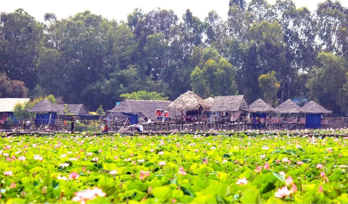 Cảnh quê Đồng Tháp.