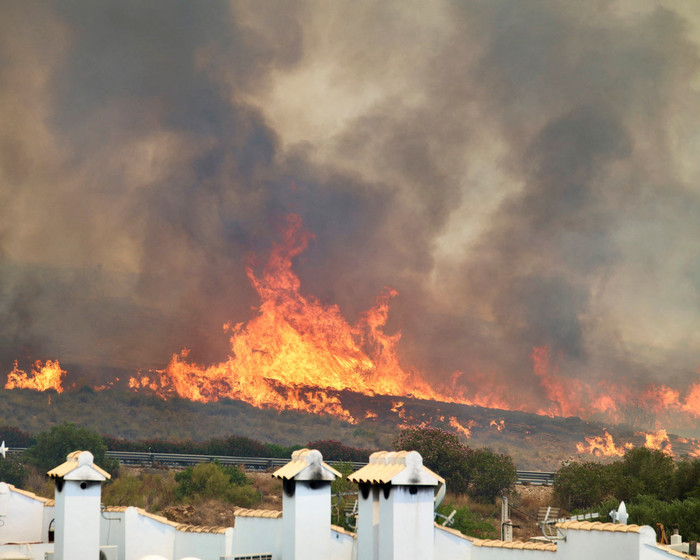 Ngọn lửa tiếp cận đường cao tốc A7 ở Los Gallardos ở Almería. Ảnh: Chema Artero/Reuters