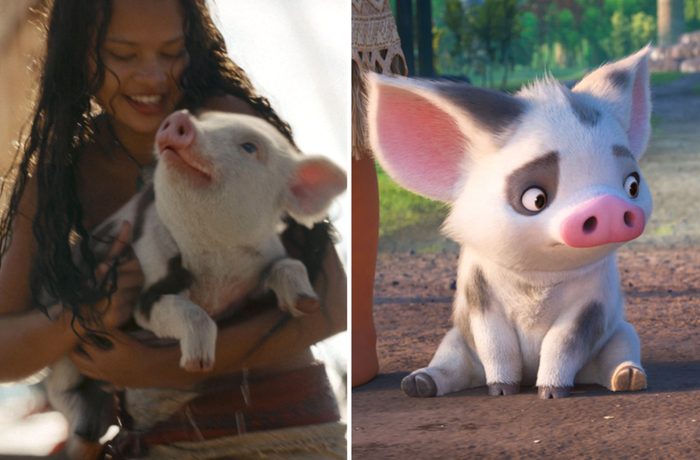 Moana live-action và hoạt hình gốc: Diện mạo đời thực có gây thất vọng ? Ảnh 8