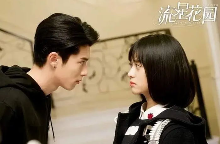 Sau thành công của Thương Lan Quyết, nhiều khán giả đã tìm xem lại tác phẩm ra mắt của Vương Hạc Đệ là Vườn Sao Băng. Ảnh: NSX