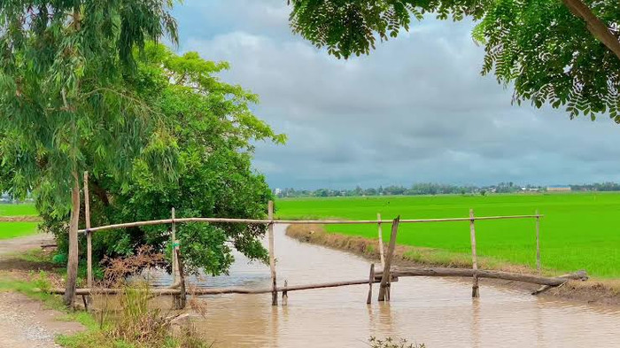 Vẻ đẹp của những cây cầu nhỏ ở quê Hồ Văn Cường Ảnh 6