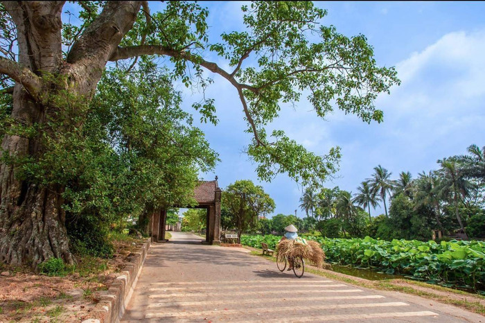 Ảnh: Hà Nội Mới