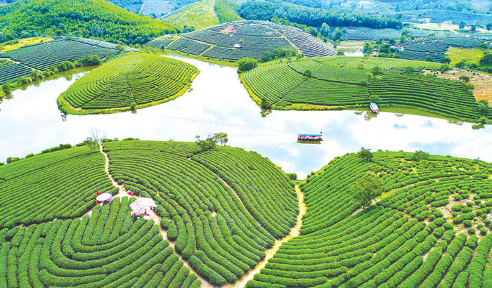 Vẻ đẹp 'ốc đảo xanh' giữa lòng quê hương bà xã Hồ Văn Cường Ảnh 8