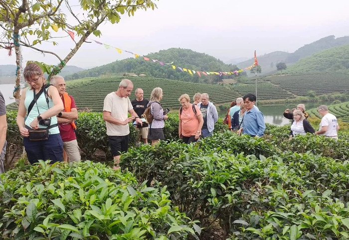 Vẻ đẹp 'ốc đảo xanh' giữa lòng quê hương bà xã Hồ Văn Cường Ảnh 7