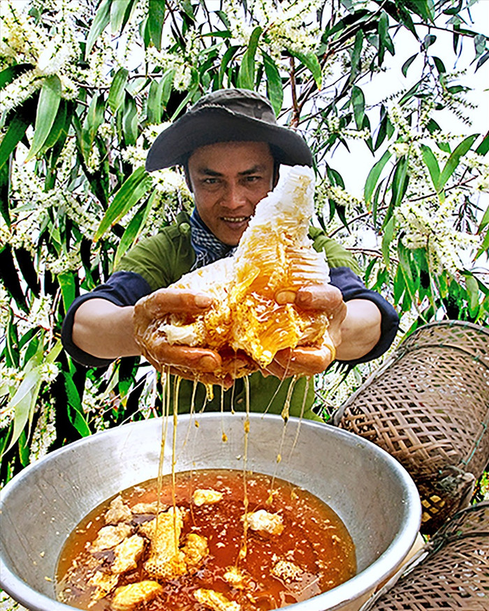 Theo chân Mai Tài Phến về 'quê hương thứ 2', Mỹ Tâm sẽ được thưởng thức những đặc sản nào? Ảnh 5