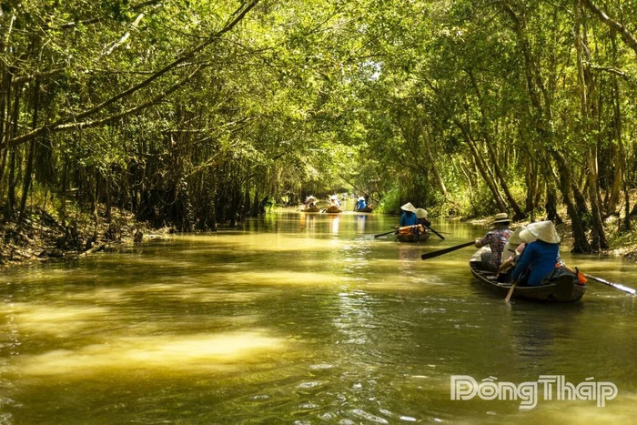 Ảnh: báo Đồng Tháp