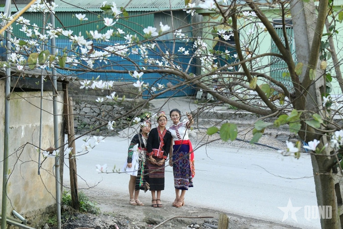 Sắc hoa ban ở vùng biên xứ Nghệ. Ảnh: Báo Quân Đội Nhân Dân