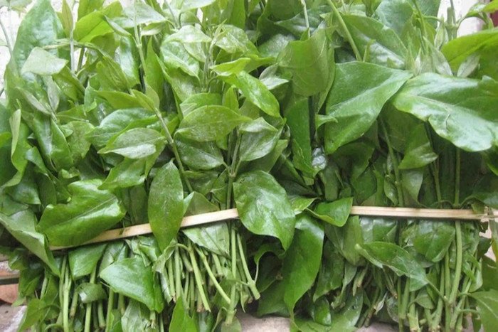 Những loại rau chỉ có theo mùa, bỏ lỡ phải đợi cả năm Ảnh 1