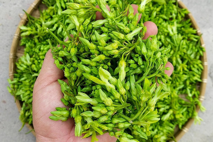Những loại rau chỉ có theo mùa, bỏ lỡ phải đợi cả năm Ảnh 2