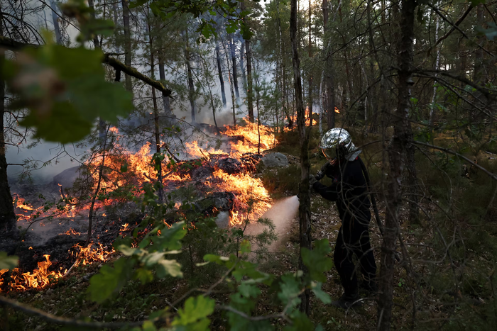 Ảnh: Reuters.