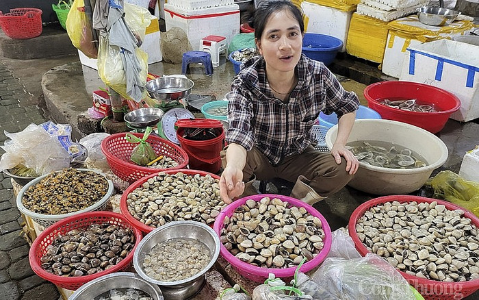 Hải sản tươi ngon ở Cửa Lò. Ảnh: báo Công Thương