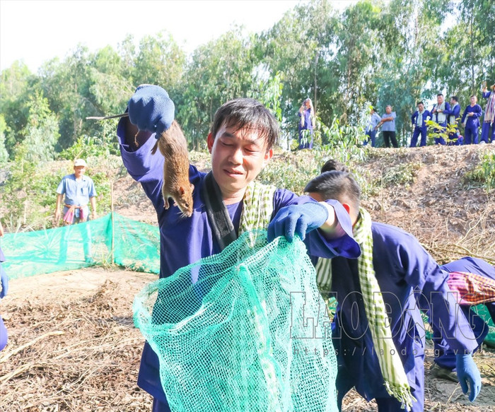 Du khách trải nghiệm bắt chuột đồng mùa nước nổi ở Đồng Tháp. Ảnh: báo Lao Động