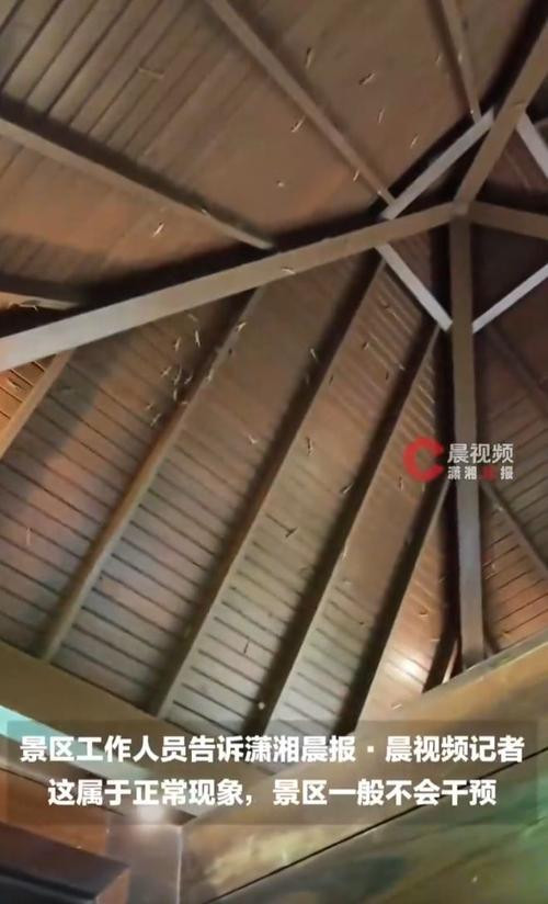 Vừa mở cửa nhà vệ sinh, cô gái ngẩng đầu rồi 'đứng hình' vì cảnh tượng trước mắt Ảnh 3