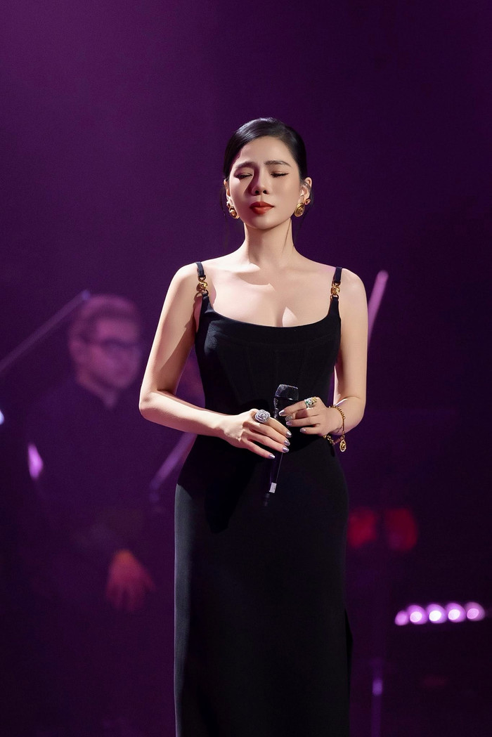 Lệ Quyên là nữ ca sĩ thành công nhất nhì showbiz Việt (Ảnh: FBNV).