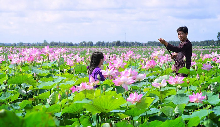 Sáng sớm với khung cảnh trong veo ở Đồng Tháp, có lẽ cảm giác thanh bình này sẽ xua tan bao mệt mỏi. Ảnh: VietFun Travel