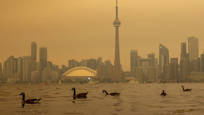 Đàn ngỗng Canada đang bơi lội trên hồ Ontario, khói từ các vụ cháy rừng ở tây bắc Ontario bao phủ bầu trời, và các đợt nắng nóng gay gắt đang khiến chính quyền Toronto, Ontario, phải đưa ra cảnh báo về sức khỏe và kêu gọi người dân hạn chế các hoạt động ngoài trời vào ngày 15 tháng 7 năm 2026. (Ảnh: Reuters)