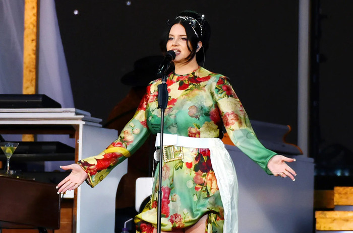 Lana Del Rey thông báo ra mắt hai album Ảnh 4