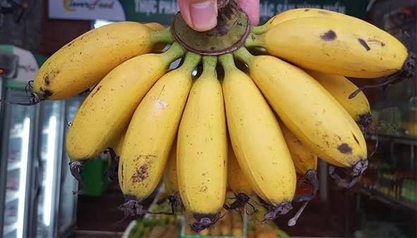 5 loại quả càng cho vào tủ lạnh càng nhanh xuống chất lượng Ảnh 1