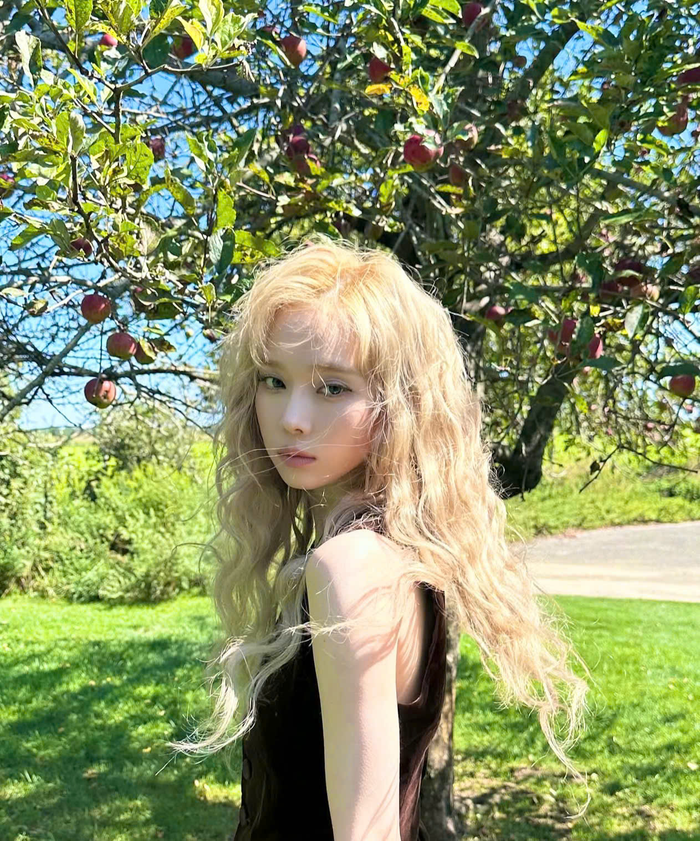 Không ít người hâm mộ bày tỏ sự thất vọng trước những chỉ trích nhắm vào nữ idol.&nbsp;