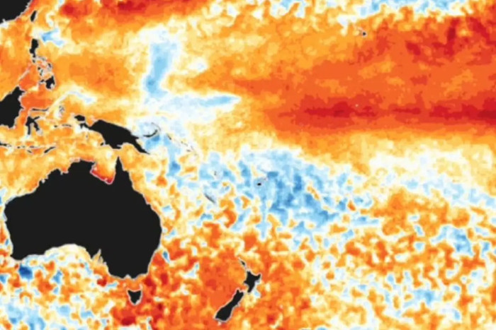 Hiện tượng El Nino hiện tại có thể là mạnh nhất từng được ghi nhận.&nbsp; ECMWF / Copernicus.