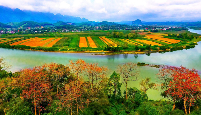 Vùng đệm rừng quốc gia Pù Mát. Ảnh: Quang Dũng/Báo Nghệ An&nbsp;