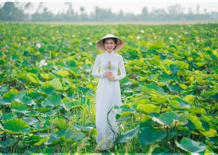 Cảnh đẹp ở đồng sen Tháp Mười. Ảnh: Thám hiểm MeKong