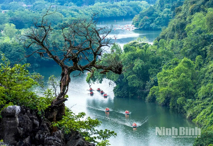 Ảnh: báo Ninh Bình