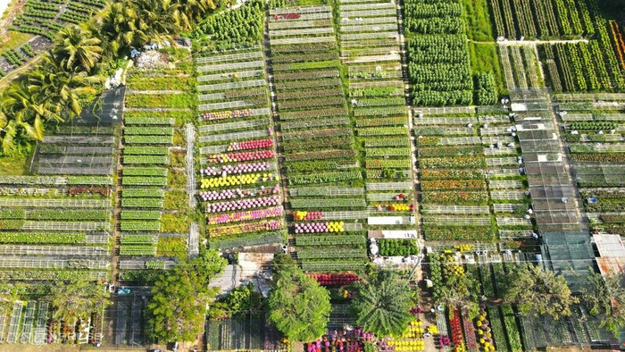 Một góc làng hoa Sa Đéc vào dịp cận Tết. Ảnh: VNExpress&nbsp;