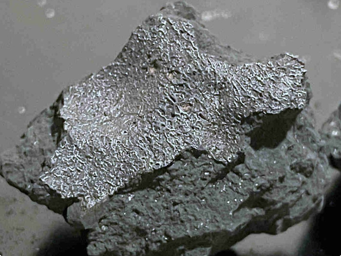 'Thiên thạch Hillsborough' (X@Astrobiology).
