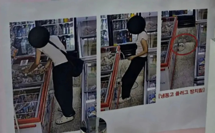 Rút điện tủ đông để sạc điện thoại tại cửa hàng, người phụ nữ gây ra hậu quả nghiêm trọng Ảnh 2