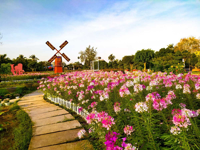 Ngôi làng ở quê Hồ Văn Cường rực rỡ sắc màu suốt bốn mùa, khách đến chơi quên giờ về Ảnh 4
