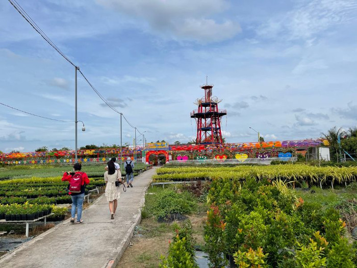 Ngôi làng ở quê Hồ Văn Cường rực rỡ sắc màu suốt bốn mùa, khách đến chơi quên giờ về Ảnh 2