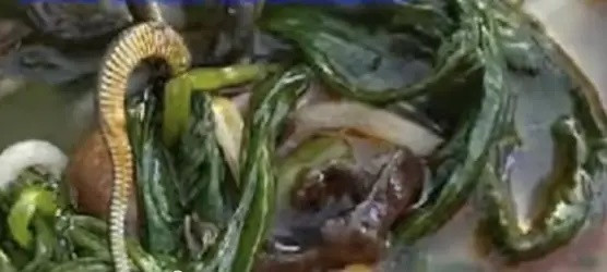 Tưởng là mộc nhĩ, người phụ nữ sốc nặng khi nhìn kỹ thứ nằm trong bát bún Ảnh 1